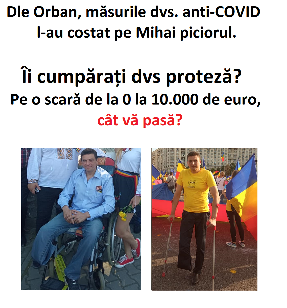 Petitie_Mihai1.png