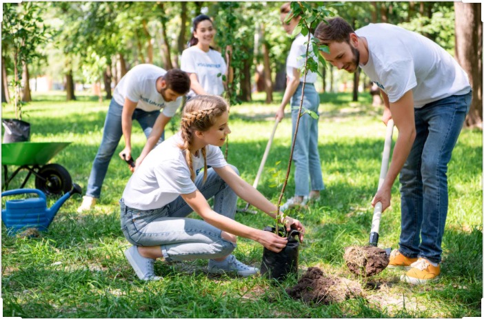 Petitie_plantare_pics.jpg