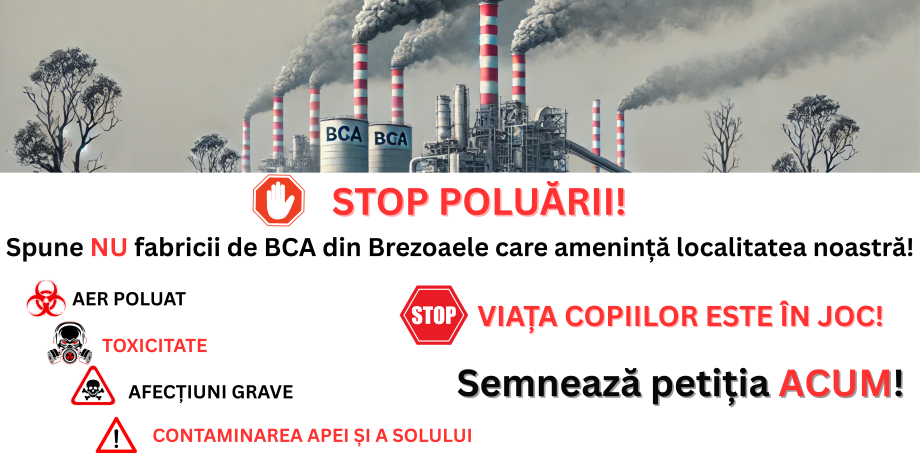 SPUNE_NU_FABRICII_DE_BCA_(4).png
