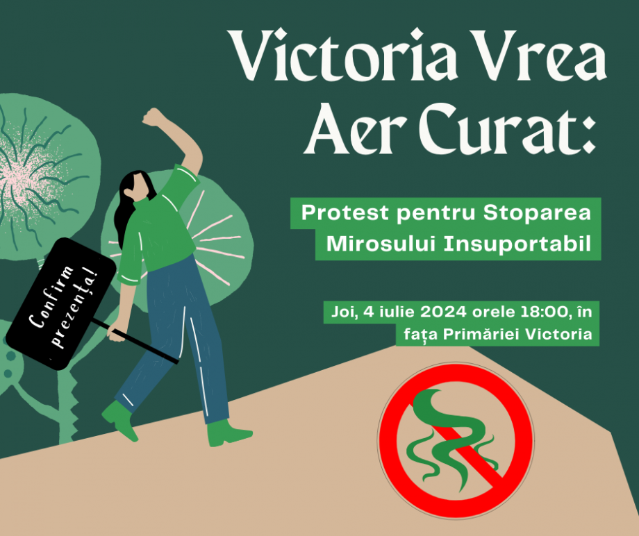 Victoria_Vrea_Aer_Curat1.png
