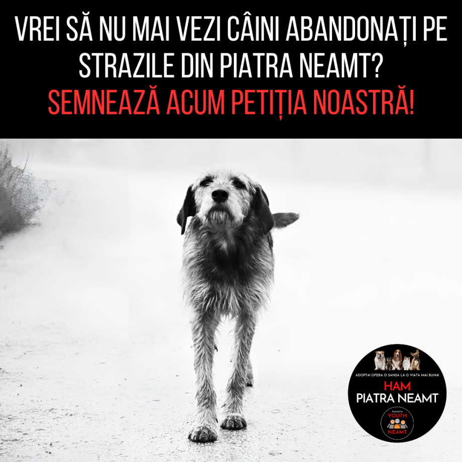 Vrei_să_nu_mai_vezi_câini_abandonați_pe_strazile_din_Piatra_Neamt_Semnează_acum_petiția_noastră!.png