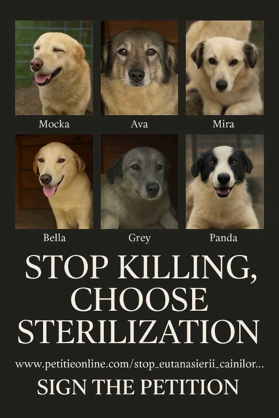 file_000000005b94624684a4faf815d0ef0b.png