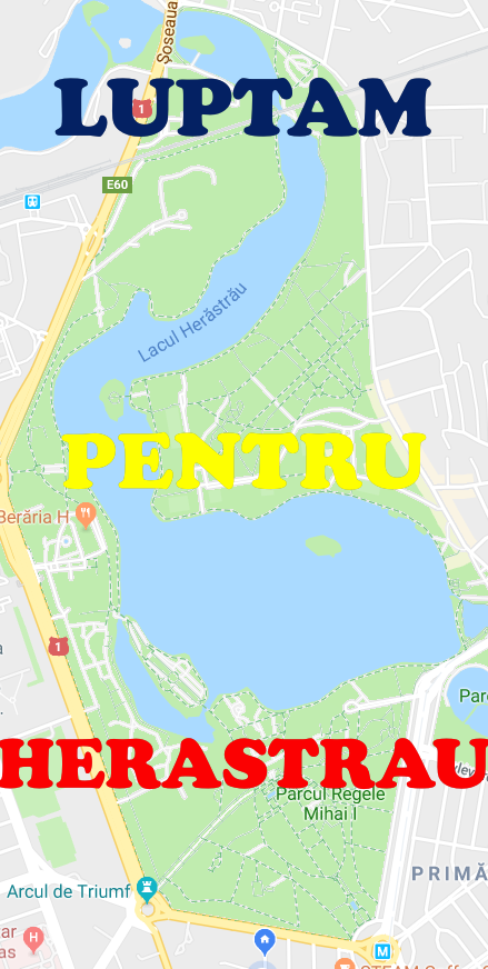 help_Fotor.png
