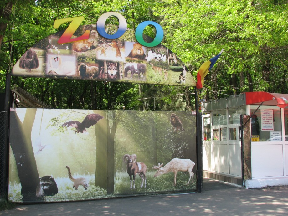 intrare-zoo2.jpg