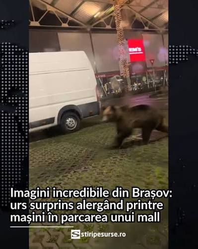 mall.jpeg