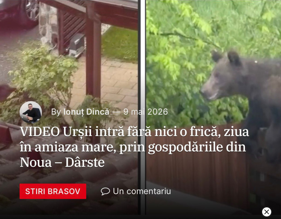 noua.jpeg