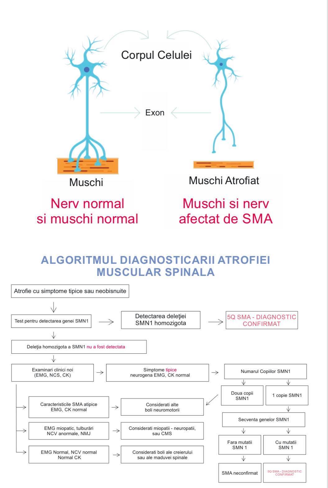 sma_pag41.jpg