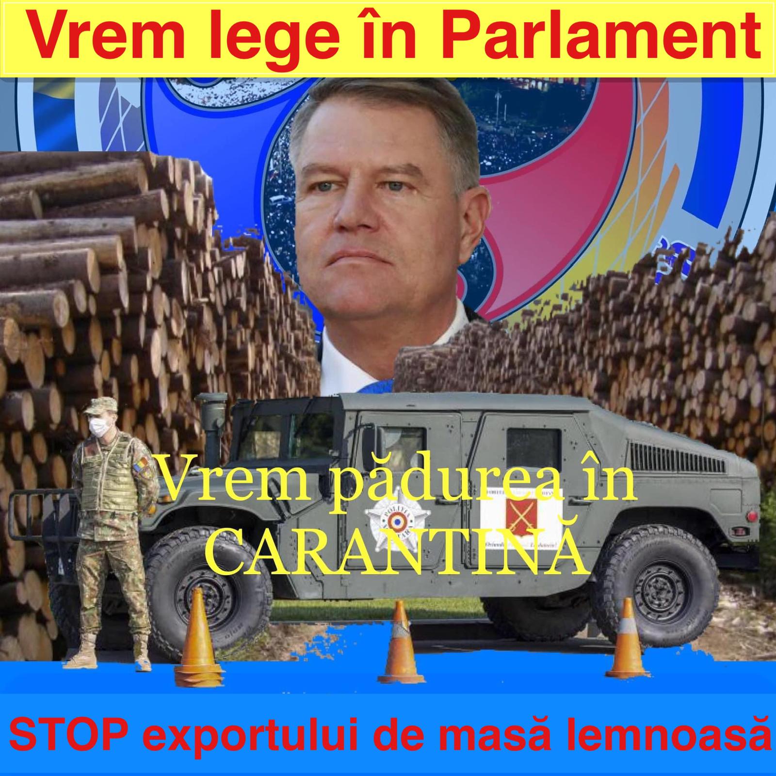 stop_exportului_de_masa_lemnoasa.jpeg